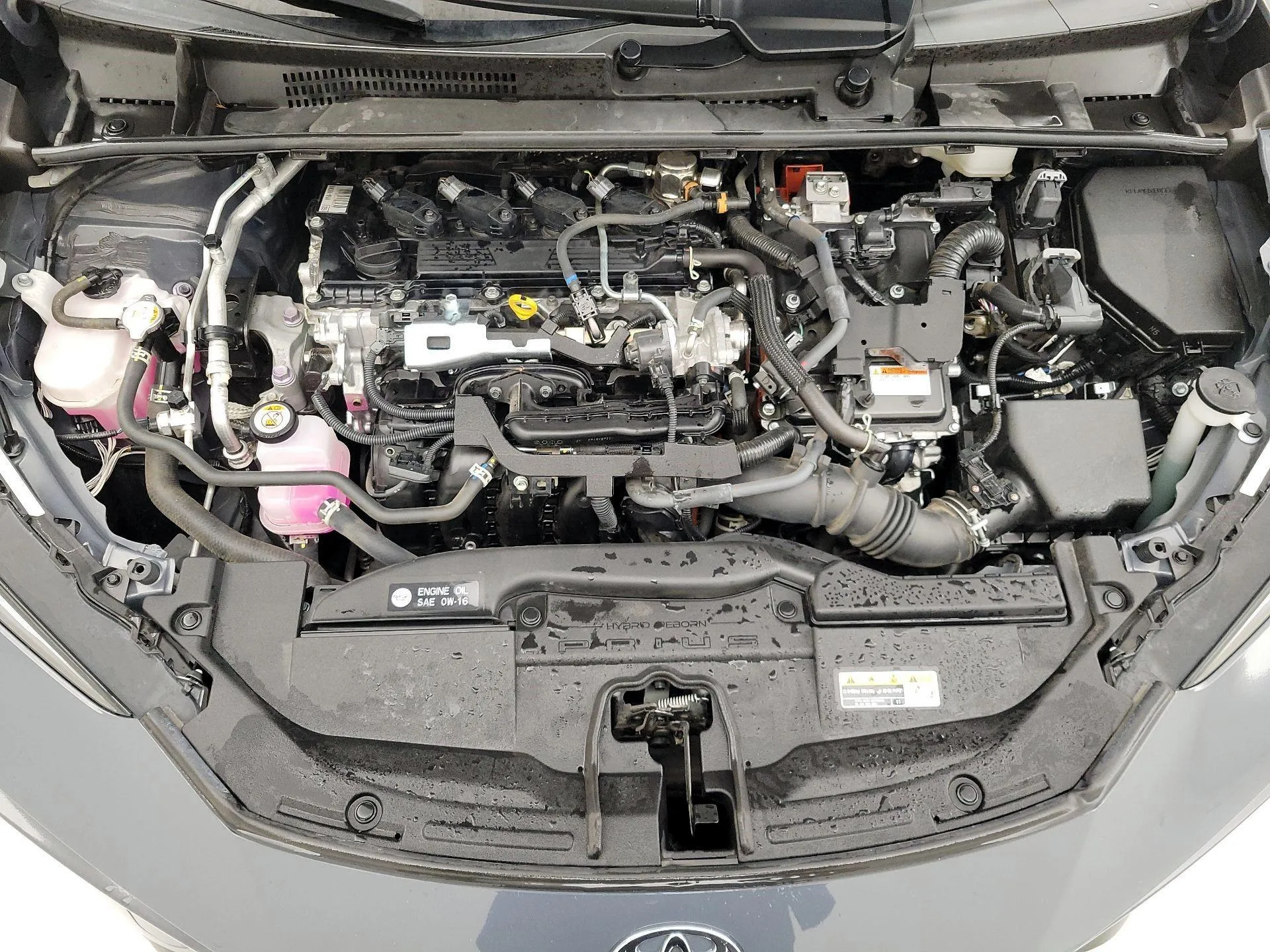 2023  Toyota  Prius LE